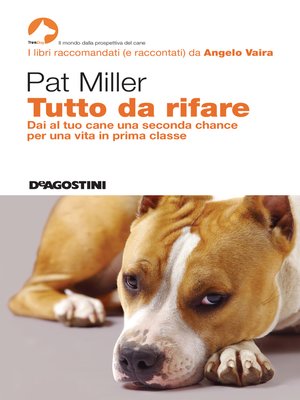 cover image of Tutto da rifare